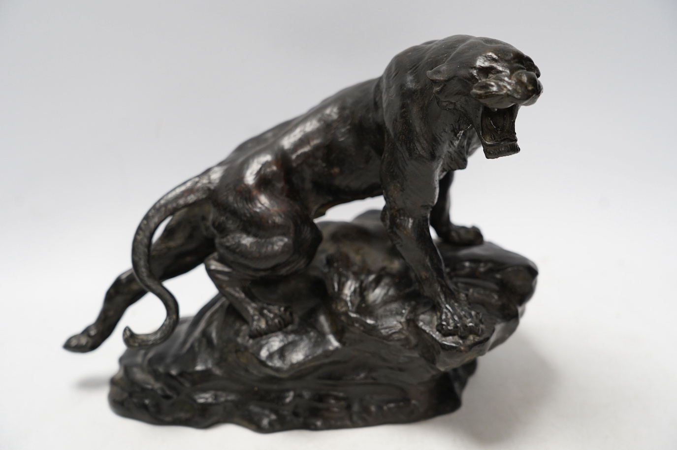 After Thomas Francois Cartier (1879-1943), bronze study of a roaring tiger, signed in the casting, 26cm wide. Condition - fair - tail has been detached and re-attached.